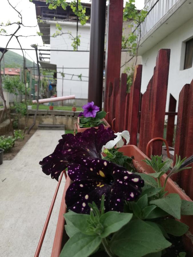 Апартамент Идилия Saparewa Banja Exterior foto